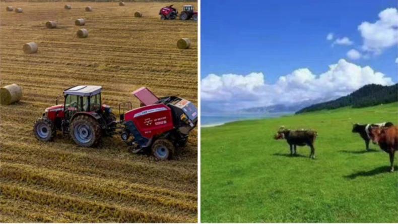 Применение сетки для тюков в сельскохозяйственной деятельности