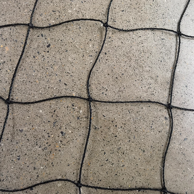 Роль сеток для крикета