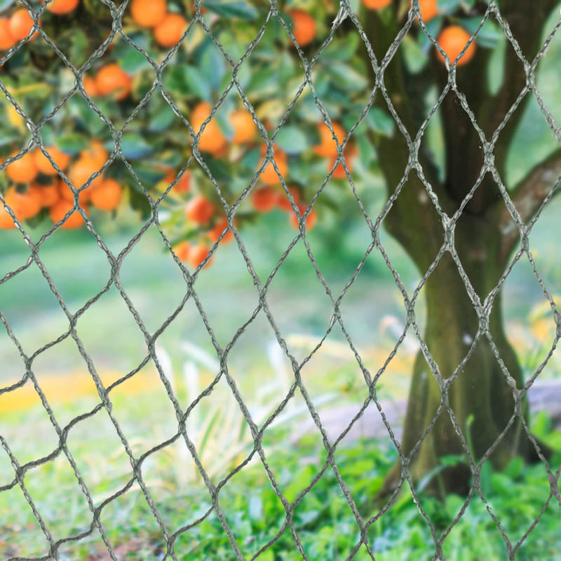 Защитите свой урожай, собственность и инвестиции с помощью нашей прочной сетки для птиц!