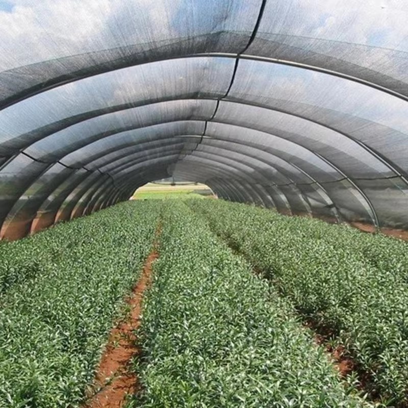 Ткань для садовой тени для растений, блокирующая 40% солнечного света