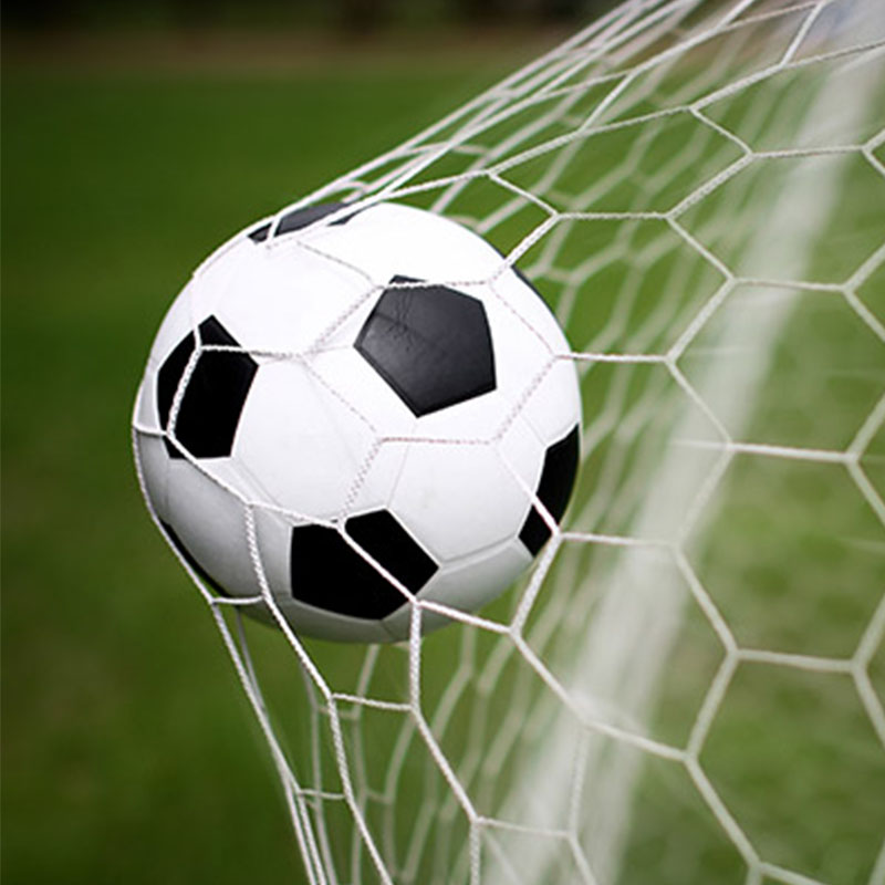 Сетка футбольного поля